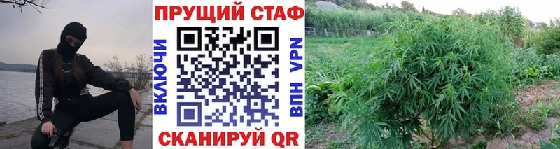 Как найти закладки Котлас kraken ССЫЛКА  Меф мяу мяу  МАРИХУАНА  COCAIN 