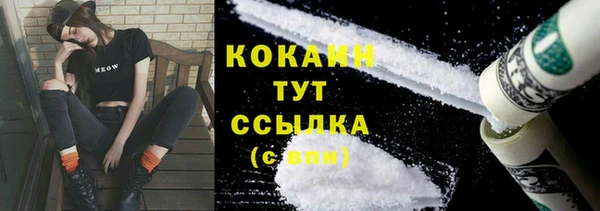 прущие грибы Зуевка