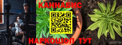 крисы Донской
