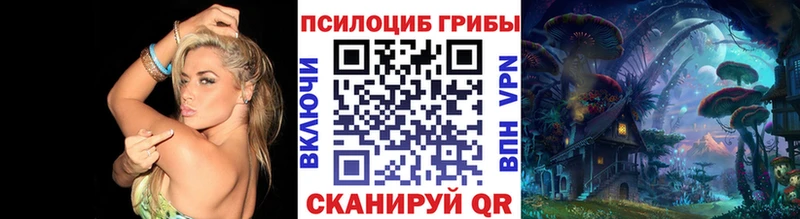 это телеграм  Котлас  Галлюциногенные грибы ЛСД  блэк спрут ссылки 