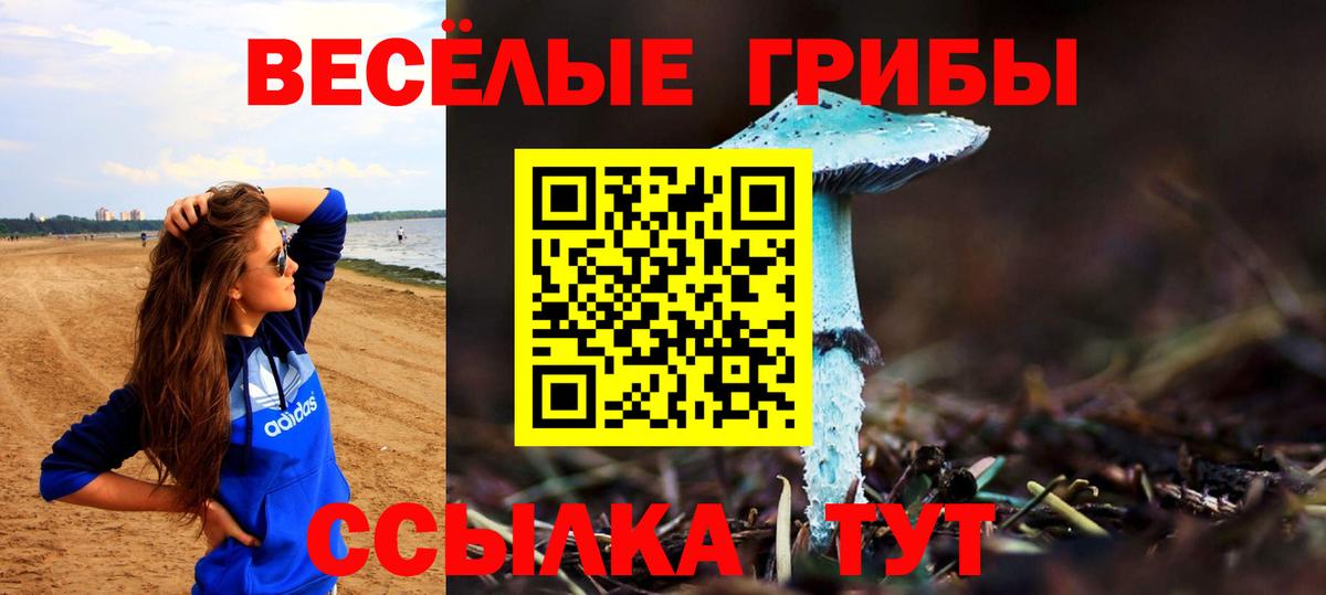 Галлюциногенные грибы мицелий Котлас