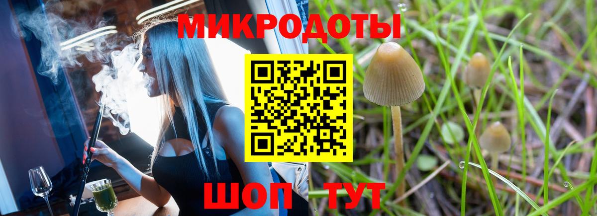 Псилоцибиновые грибы MAGIC MUSHROOMS Котлас