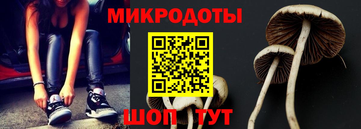 Галлюциногенные грибы мухоморы  Галлюциногенные грибы ЛСД  Вход с VPN  Котлас 